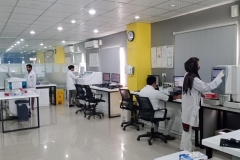 Chughtai-Lab-Sargodha_4