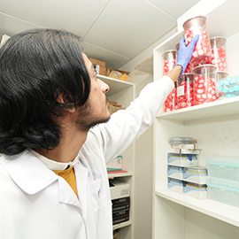 Clinical and Forensic Toxicology Department